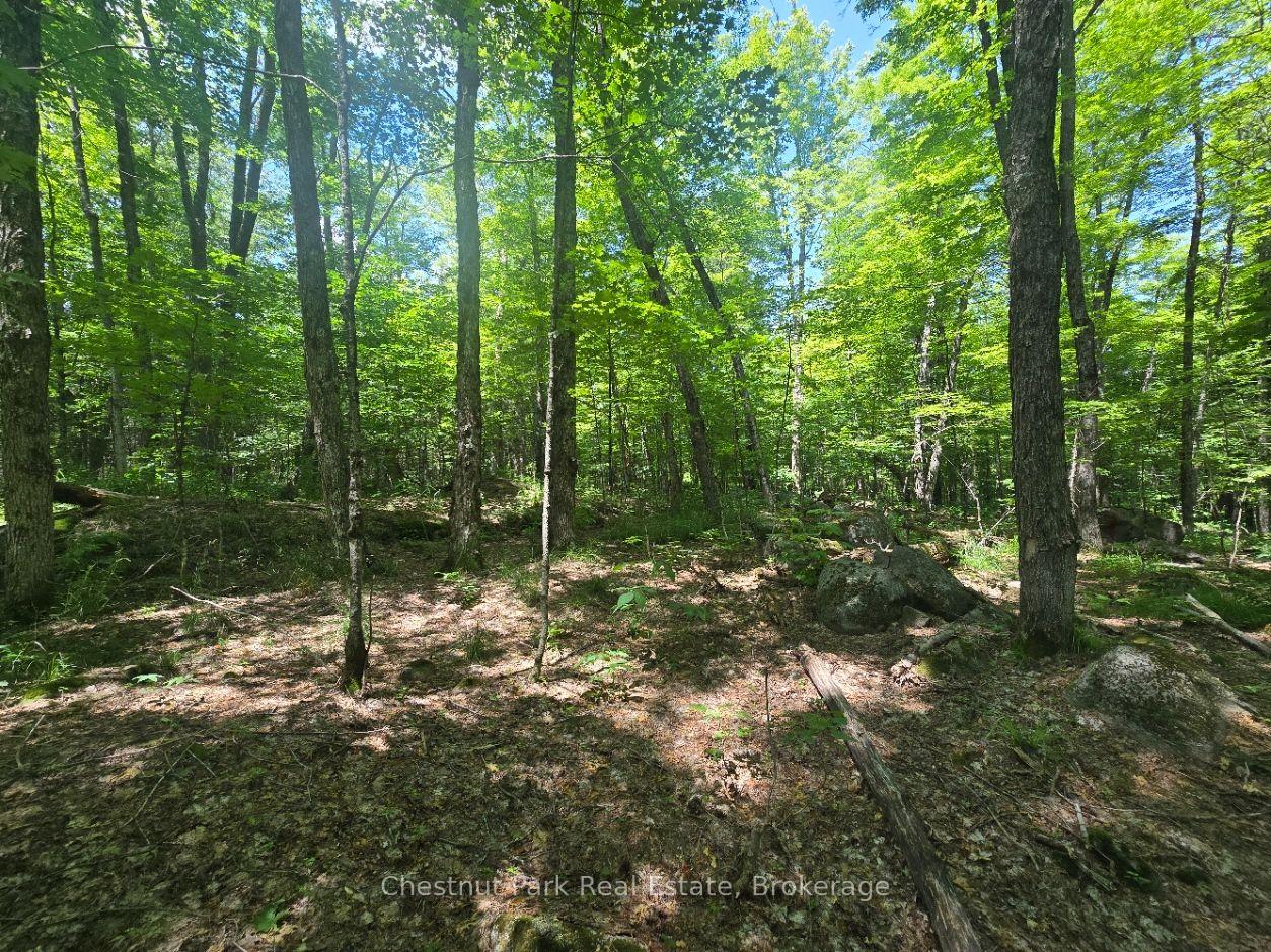 Photo 12 of 1630 Midlothian Road, Ryerson — HOMEH