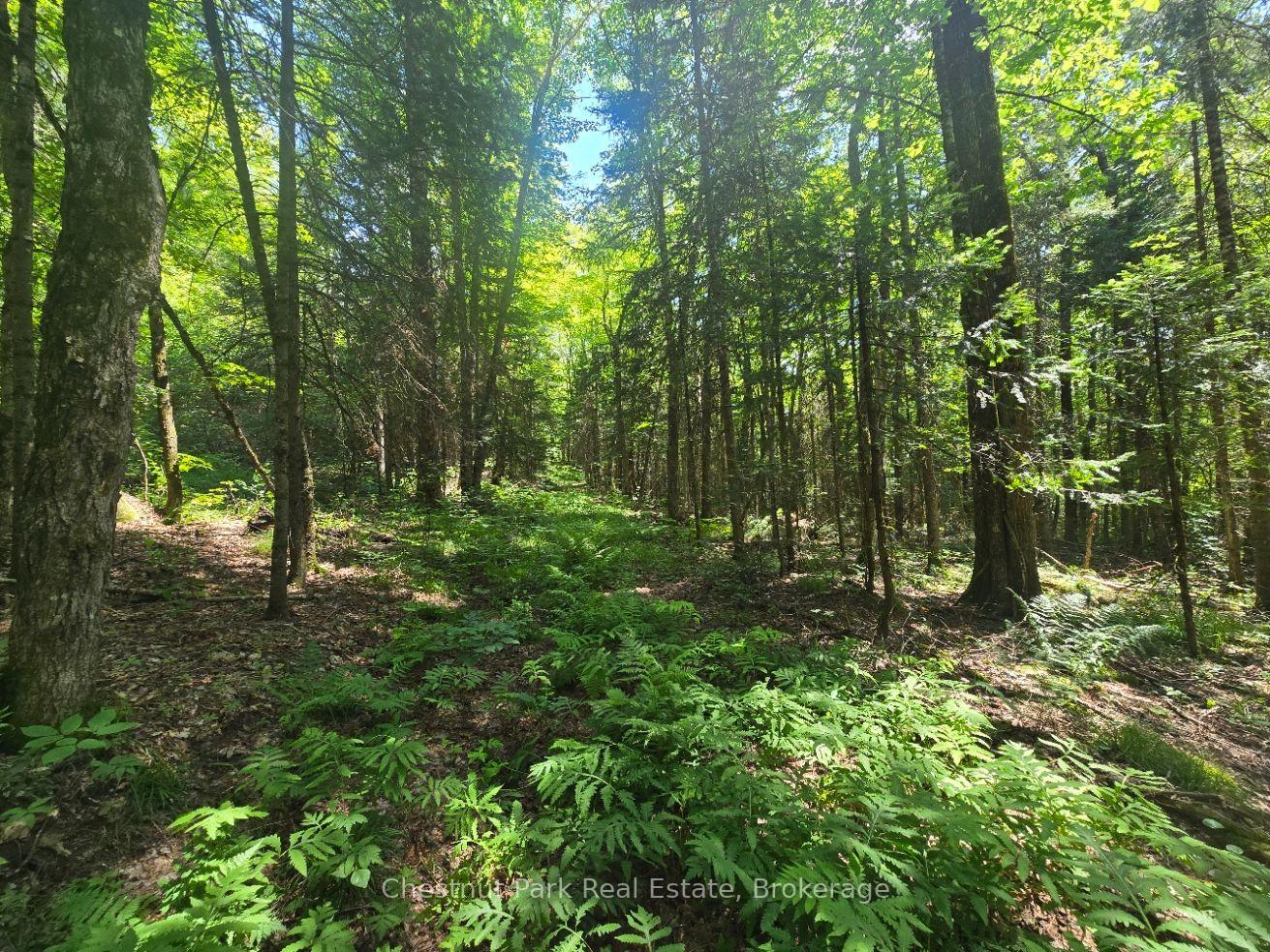 Photo 13 of 1630 Midlothian Road, Ryerson — HOMEH