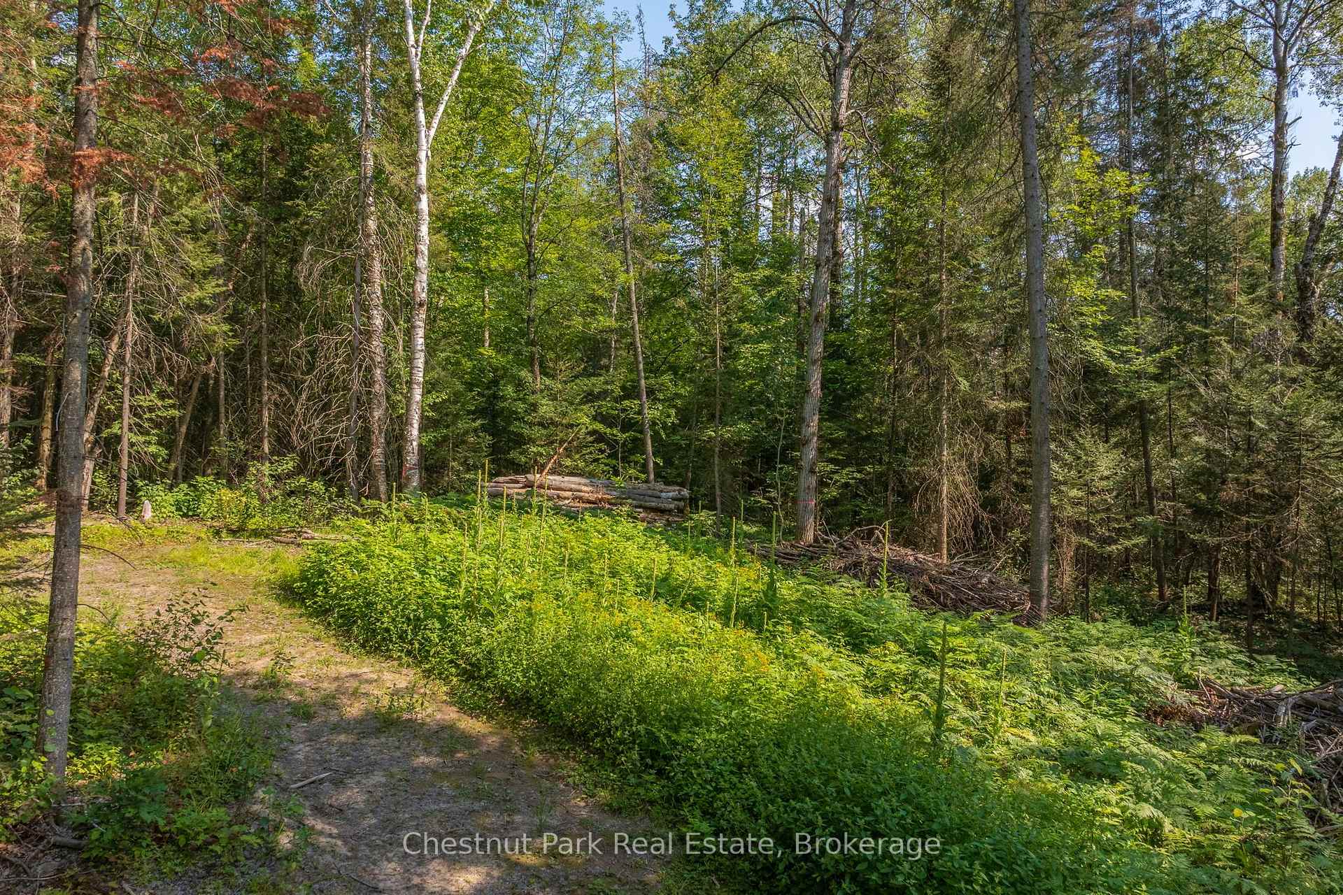 Photo 16 of 1630 Midlothian Road, Ryerson — HOMEH