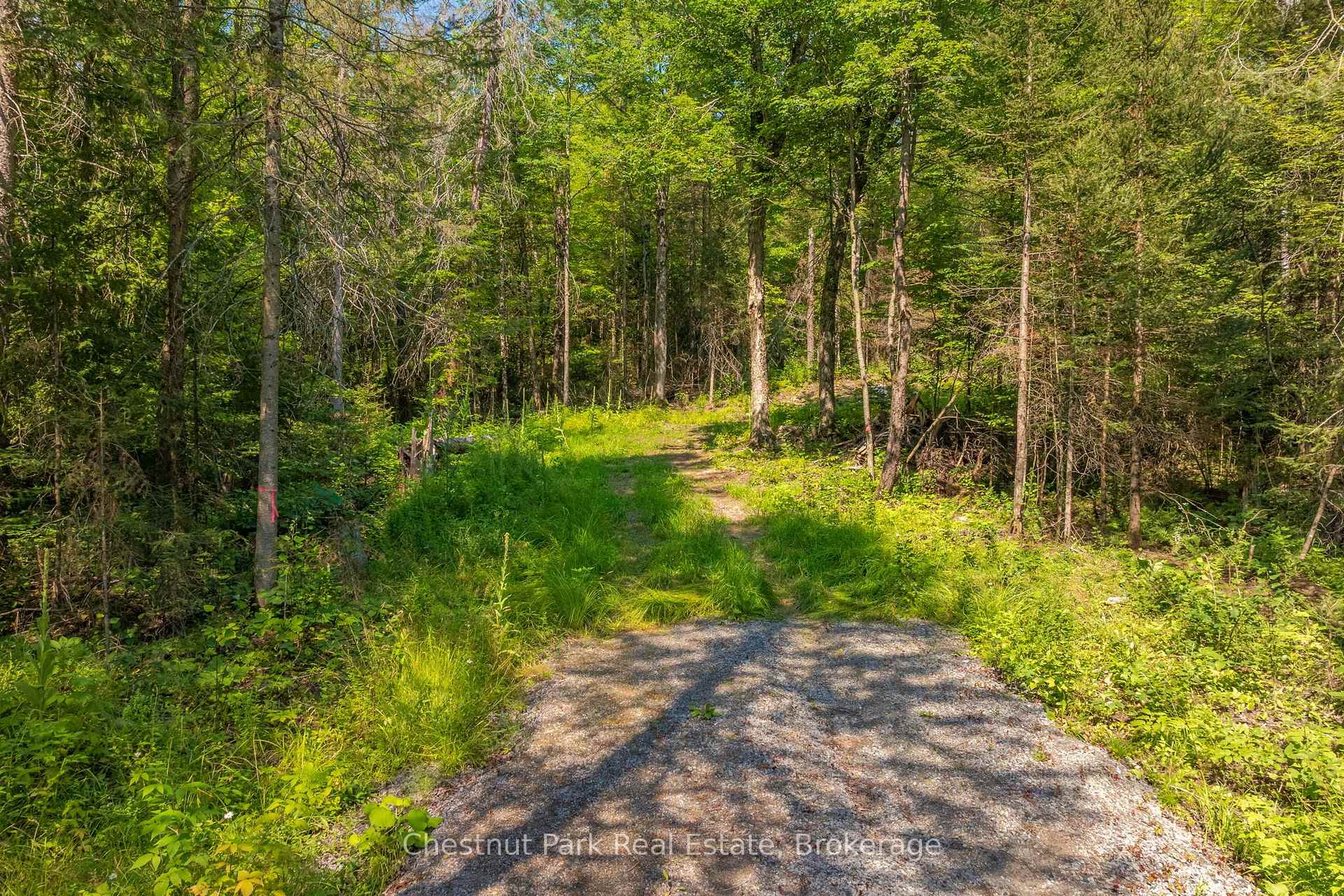 Photo 17 of 1630 Midlothian Road, Ryerson — HOMEH