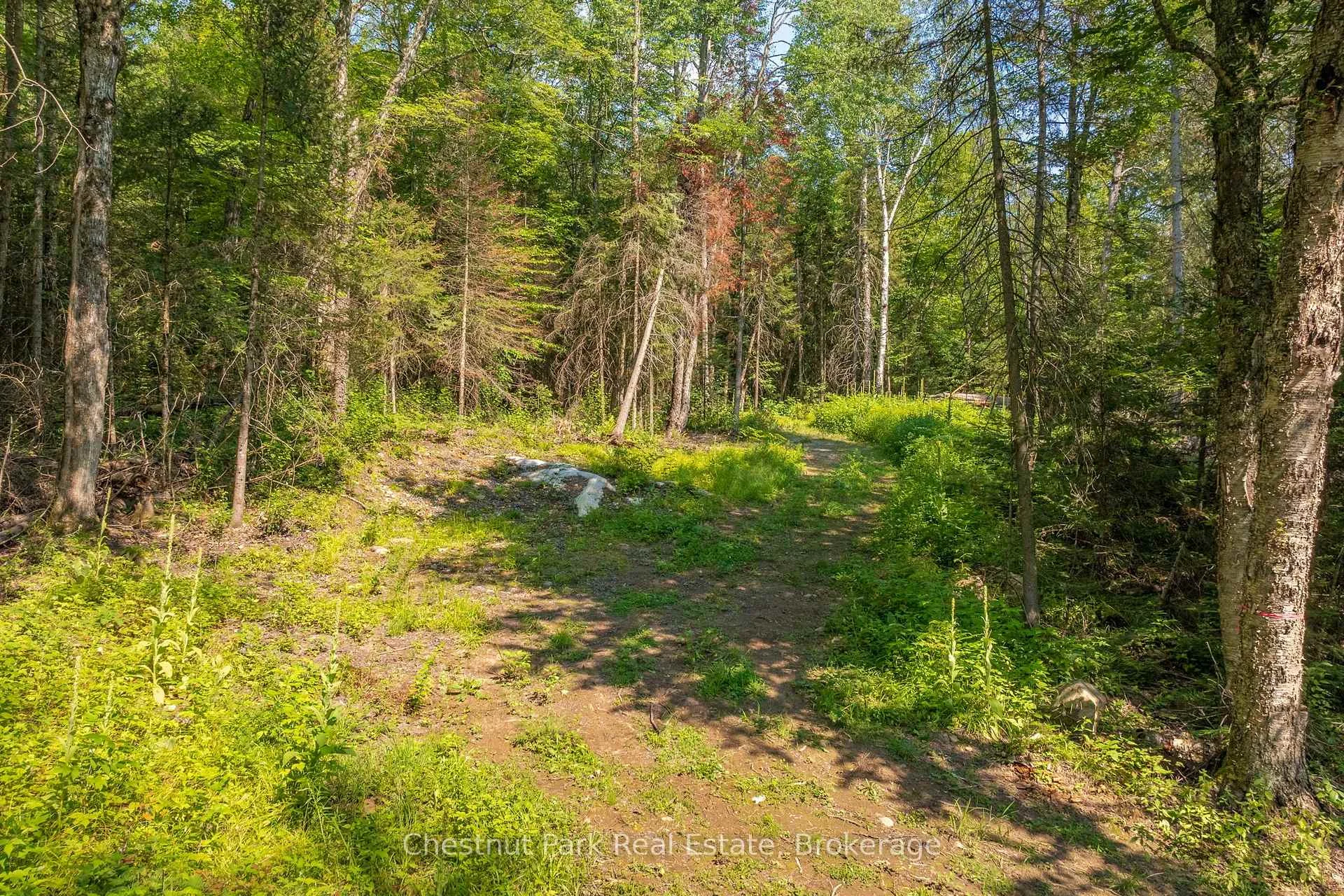 Photo 15 of 1630 Midlothian Road, Ryerson — HOMEH