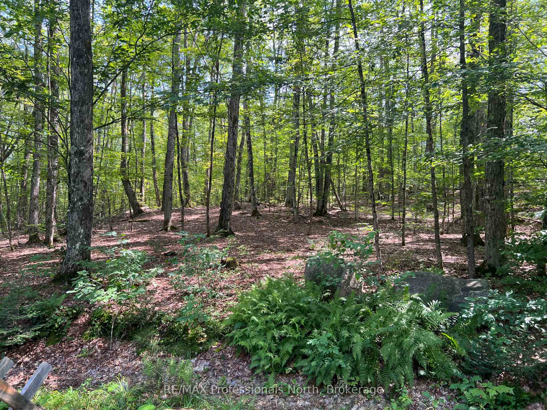 Photo 5 of Trail, Perry — HOMEH
