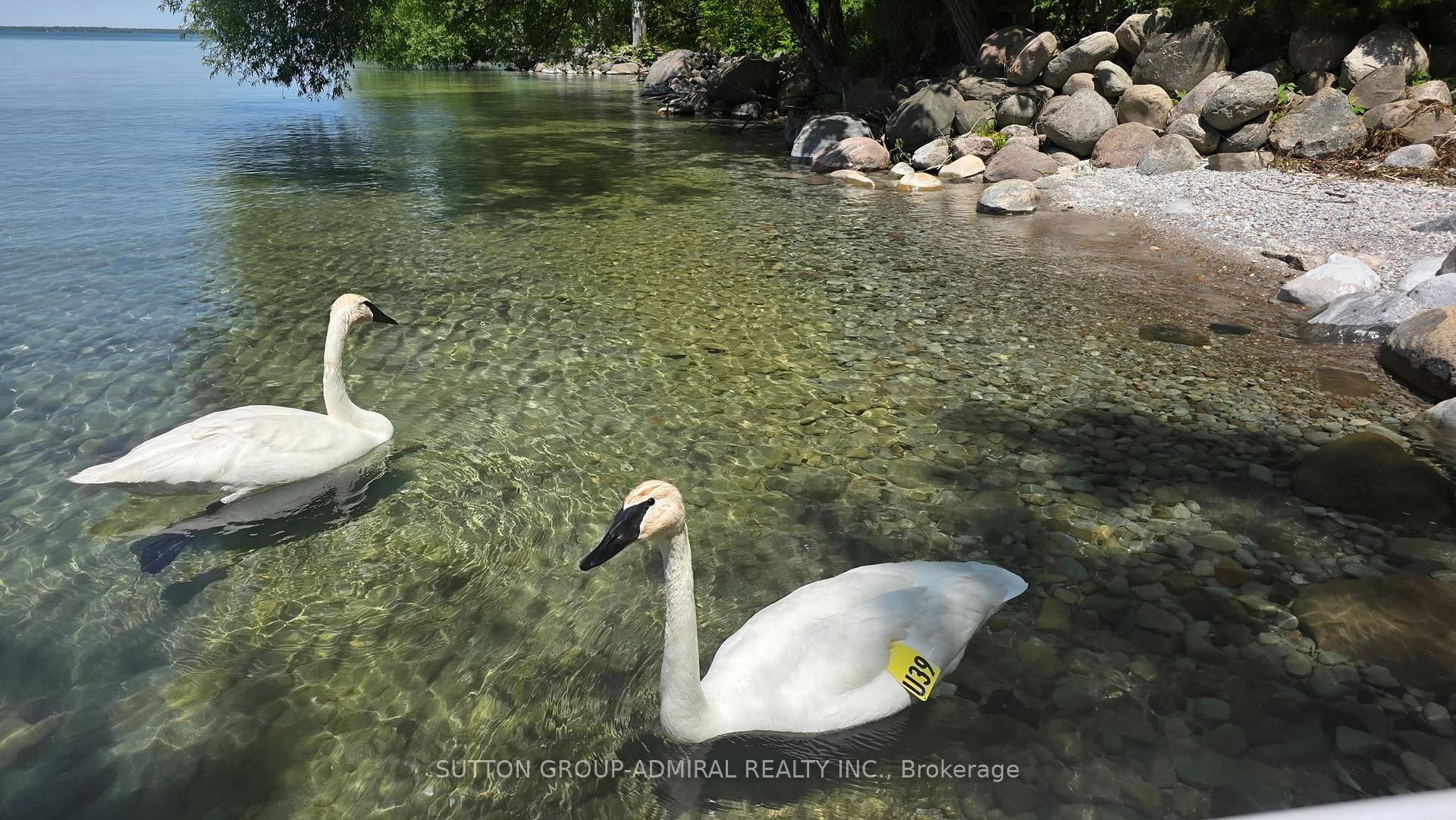 Photo 45 of 2232 Lakeshore Drive, Ramara, Rural Ramara — HOMEH