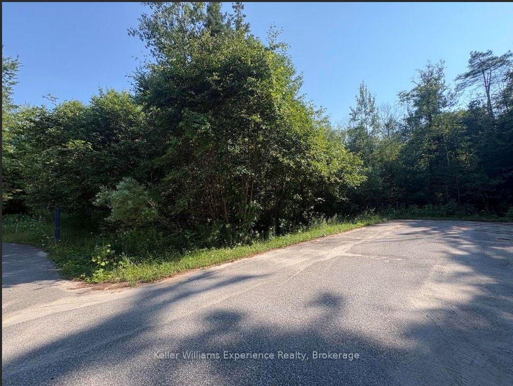 Photo 3 of PTS1,2,3,4,5,6&751R35480 Rue Karola, Tiny, Rural Tiny — HOMEH
