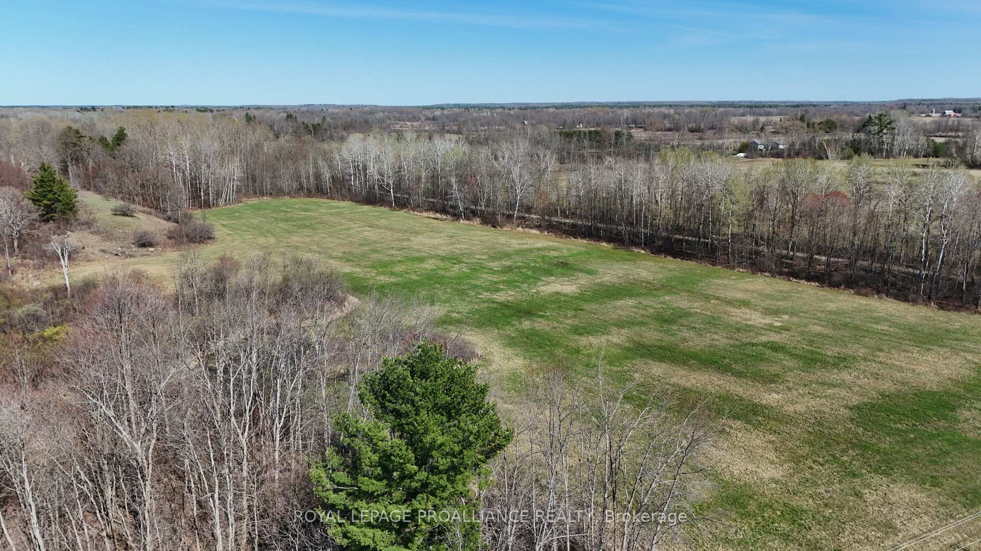 Photo 4 of 1306 Sulphide Road, Tweed, Hungerford (Twp) — HOMEH