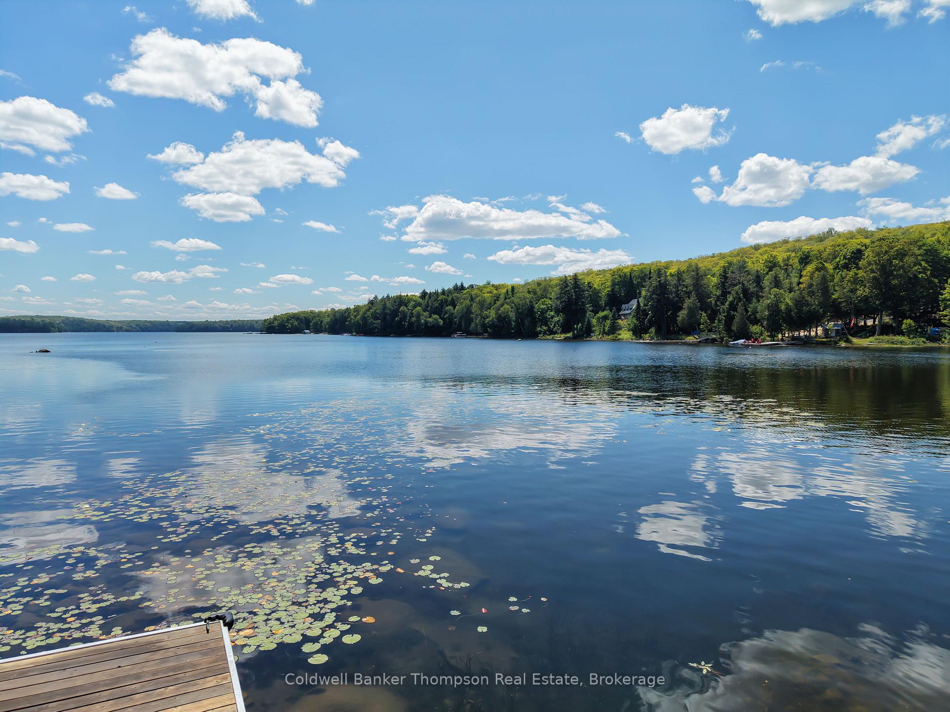 Photo 38 of 67 Sandy Cove Drive, Armour — HOMEH