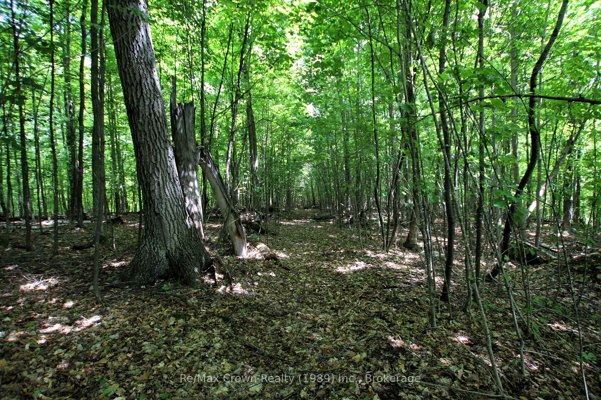 Photo 28 of 1052 Limberlost Point Road, Parry Sound Remote Area, Restoule — HOMEH
