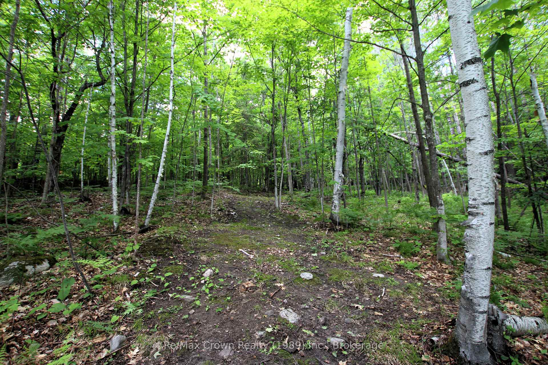 Photo 31 of 1052 Limberlost Point Road, Parry Sound Remote Area, Restoule — HOMEH