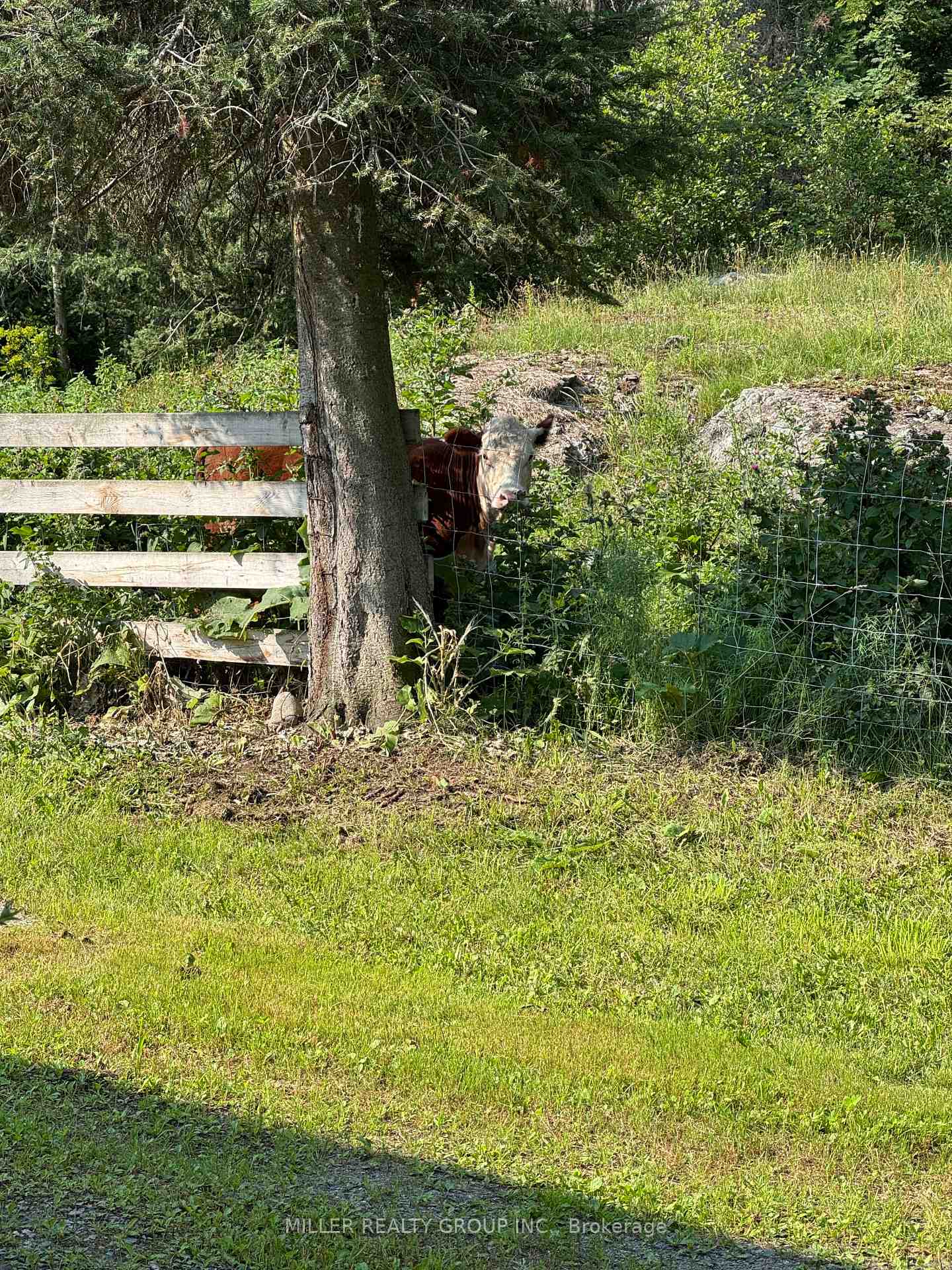 Photo 32 of 1272 Lakeshore Road, Temiskaming Shores, New Liskeard — HOMEH