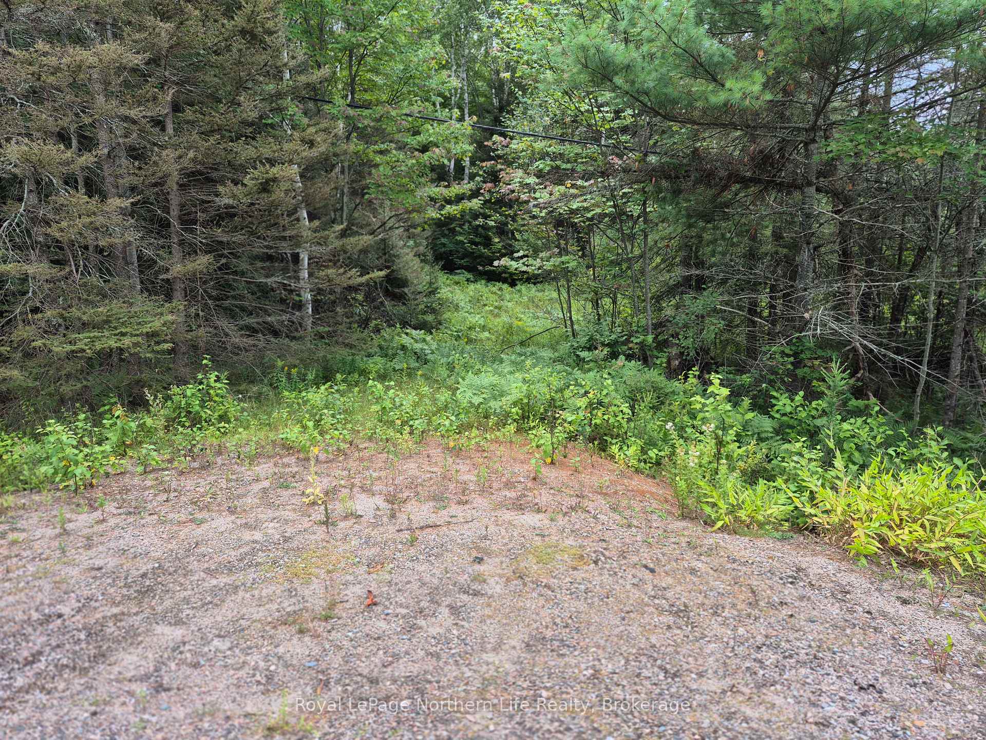 Photo 4 of 3518 Highway 17, Papineau-Cameron, Papineau Cameron — HOMEH