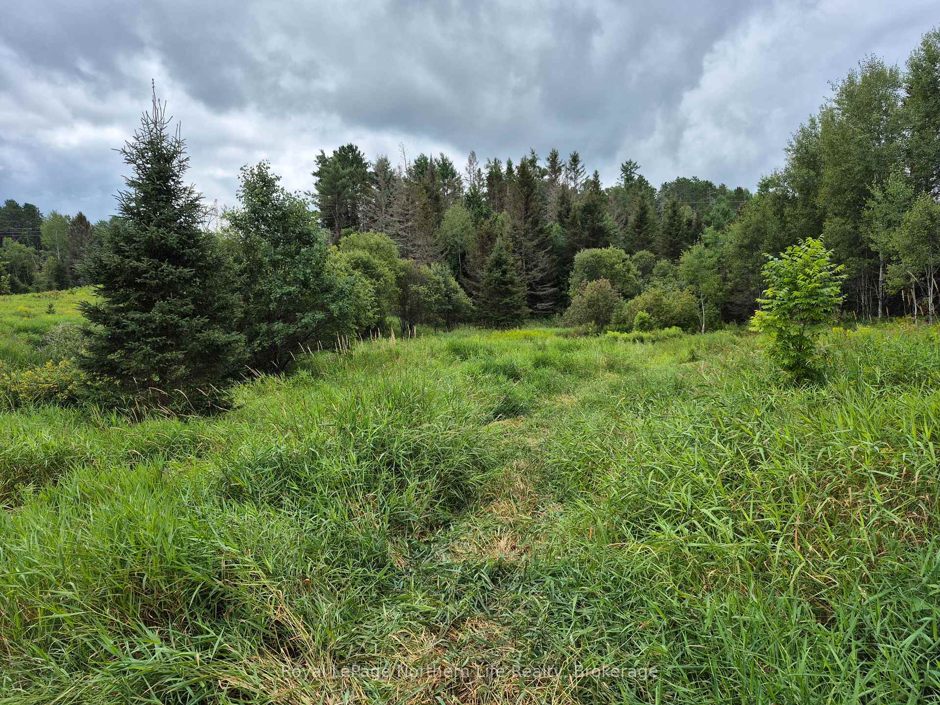 Photo 8 of 3518 Highway 17, Papineau-Cameron, Papineau Cameron — HOMEH