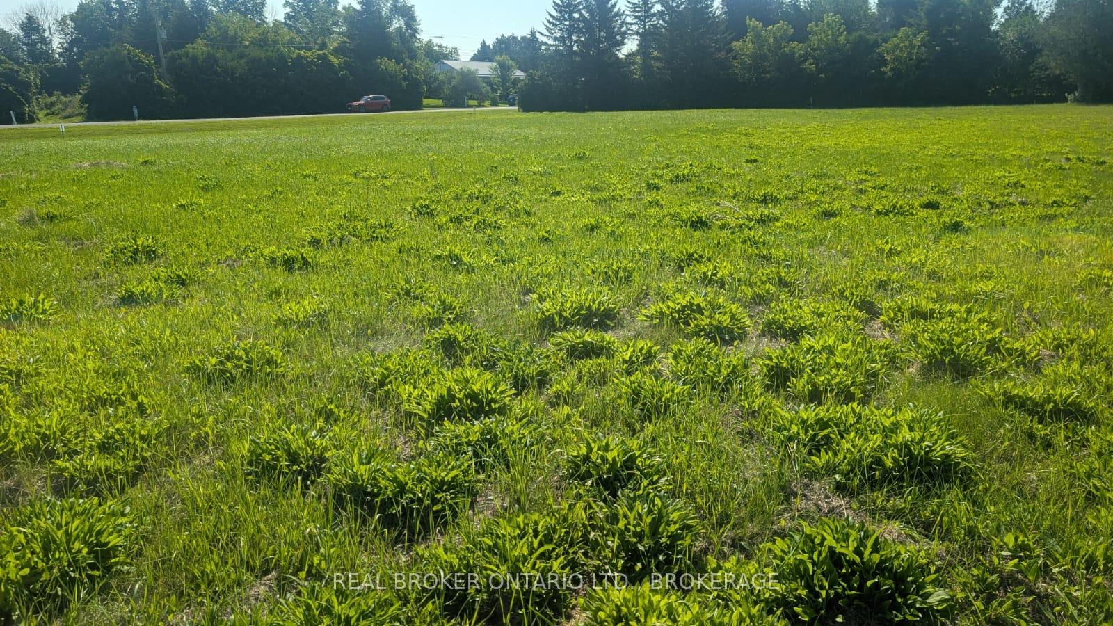 Photo 4 of Florence Street, North Glengarry, North Glengarry (Lochiel) Twp — HOMEH