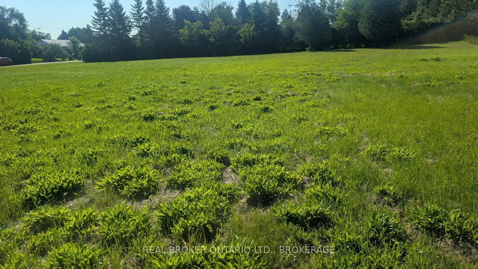 Photo 9 of Florence Street, North Glengarry, North Glengarry (Lochiel) Twp — HOMEH