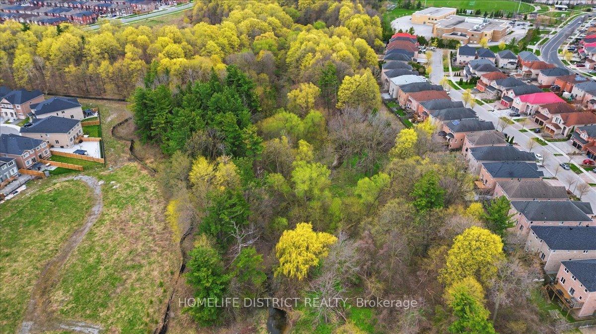 Photo 5 of 43 Bethany Street, Markham, Cedarwood — HOMEH