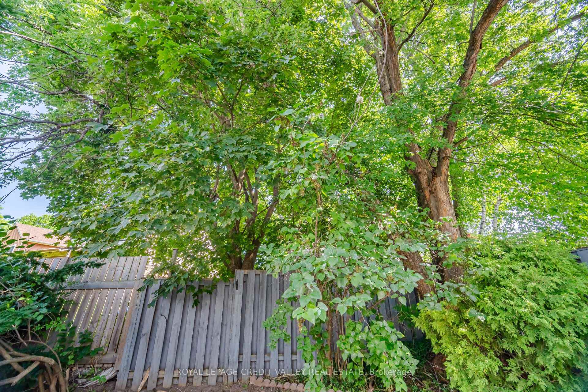 Photo 17 of 49 Sutter Avenue, Brampton, Brampton West — HOMEH