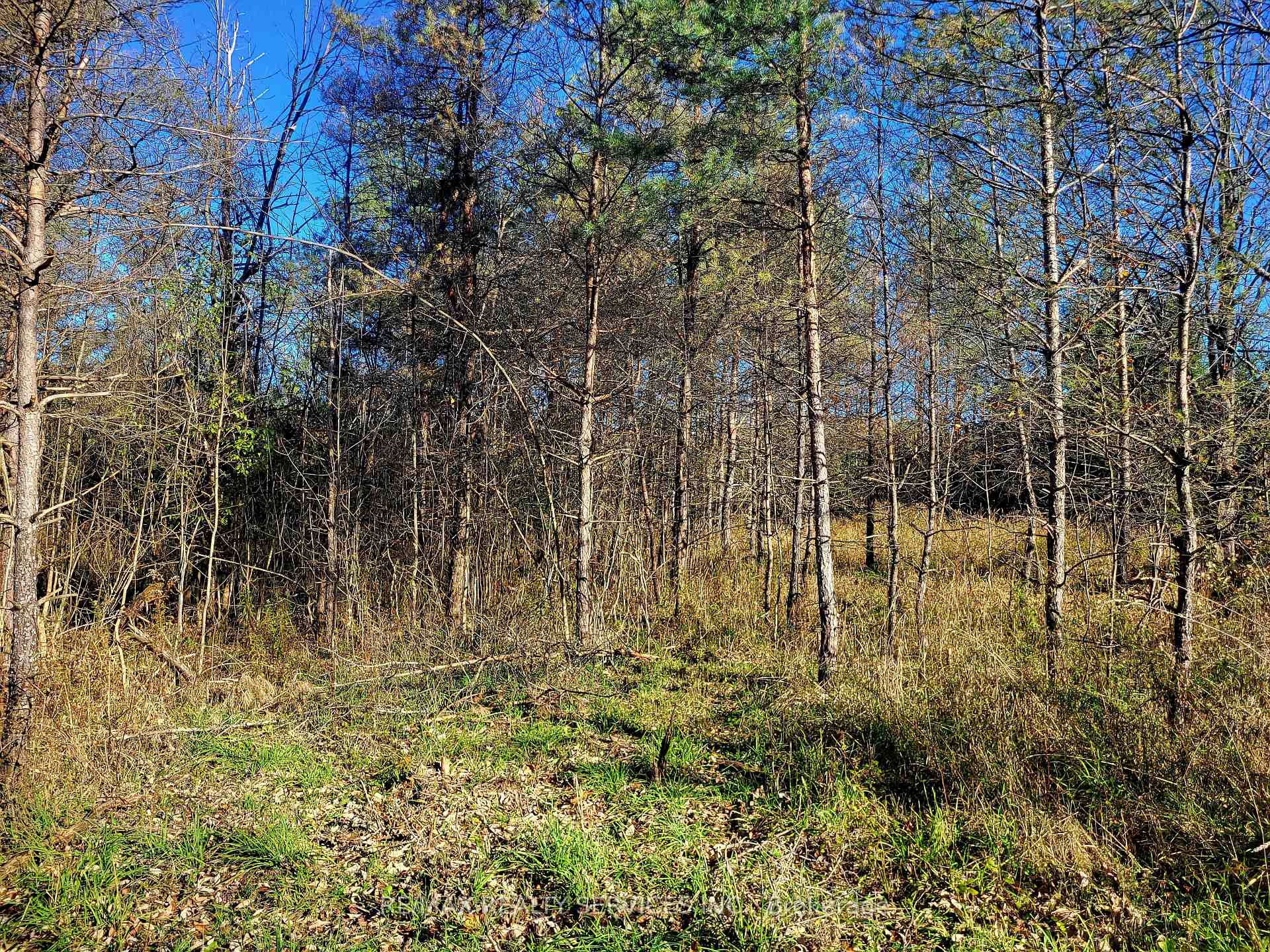 Photo 7 of 395421 Concession 2 Road, Chatsworth — HOMEH