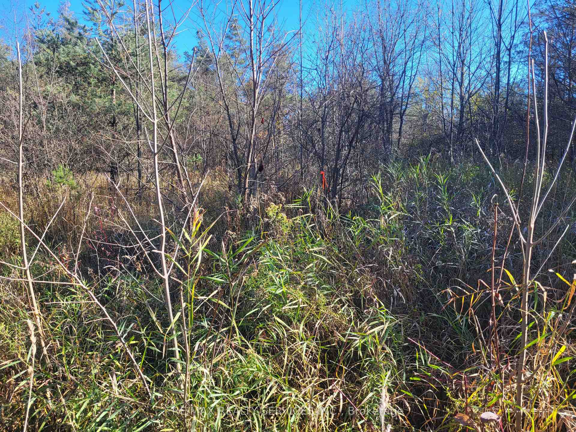 Photo 9 of 395421 Concession 2 Road, Chatsworth — HOMEH