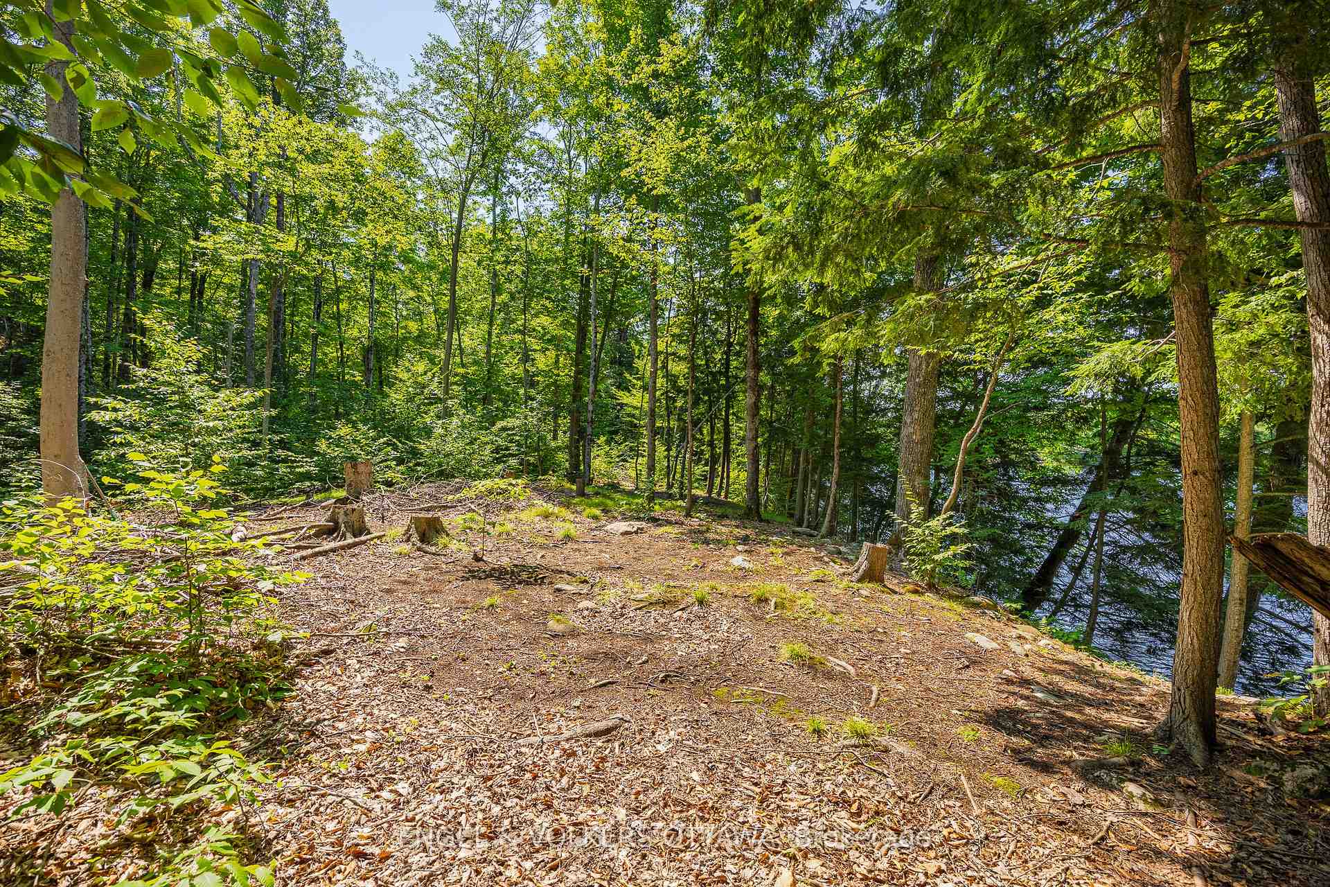 Photo 9 of 223 Shady Maple Road, McNab/Braeside, Mcnab/Braeside Twps — HOMEH