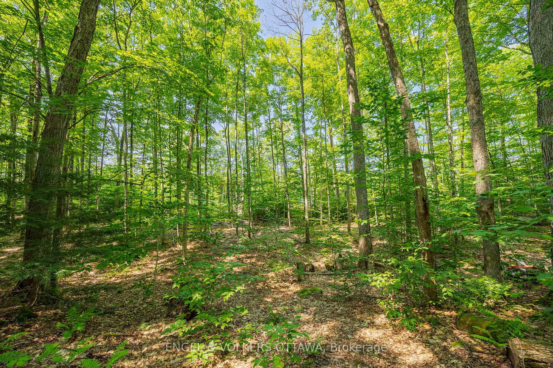Photo 10 of 223 Shady Maple Road, McNab/Braeside, Mcnab/Braeside Twps — HOMEH