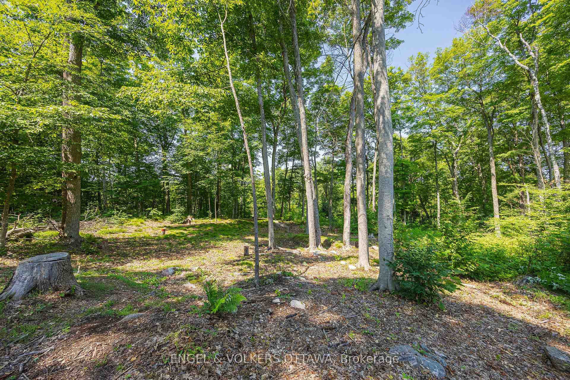 Photo 12 of 223 Shady Maple Road, McNab/Braeside, Mcnab/Braeside Twps — HOMEH