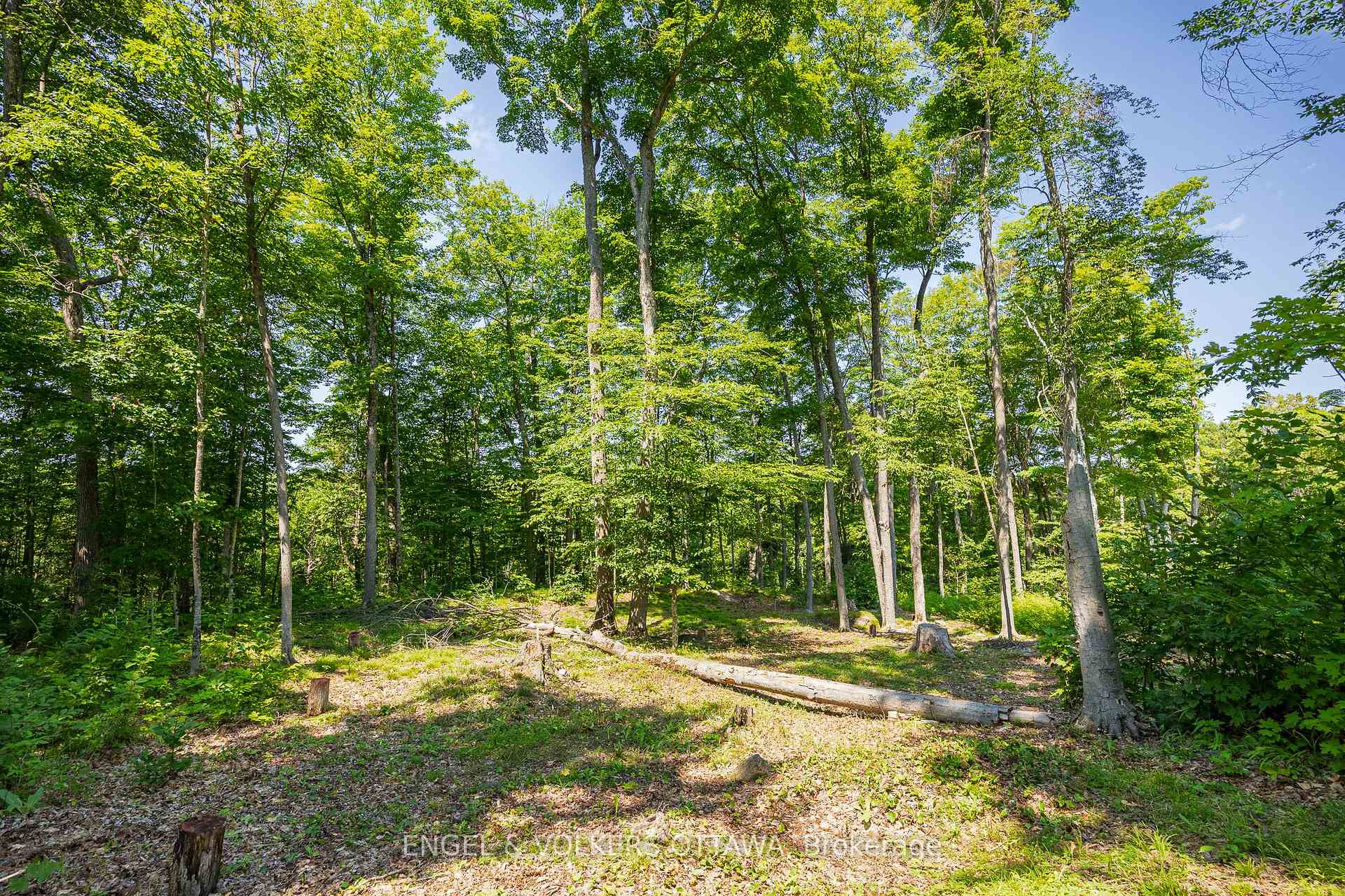 Photo 13 of 223 Shady Maple Road, McNab/Braeside, Mcnab/Braeside Twps — HOMEH