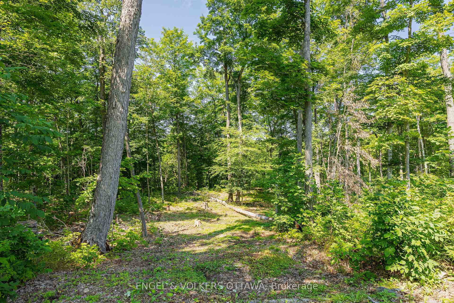 Photo 14 of 223 Shady Maple Road, McNab/Braeside, Mcnab/Braeside Twps — HOMEH