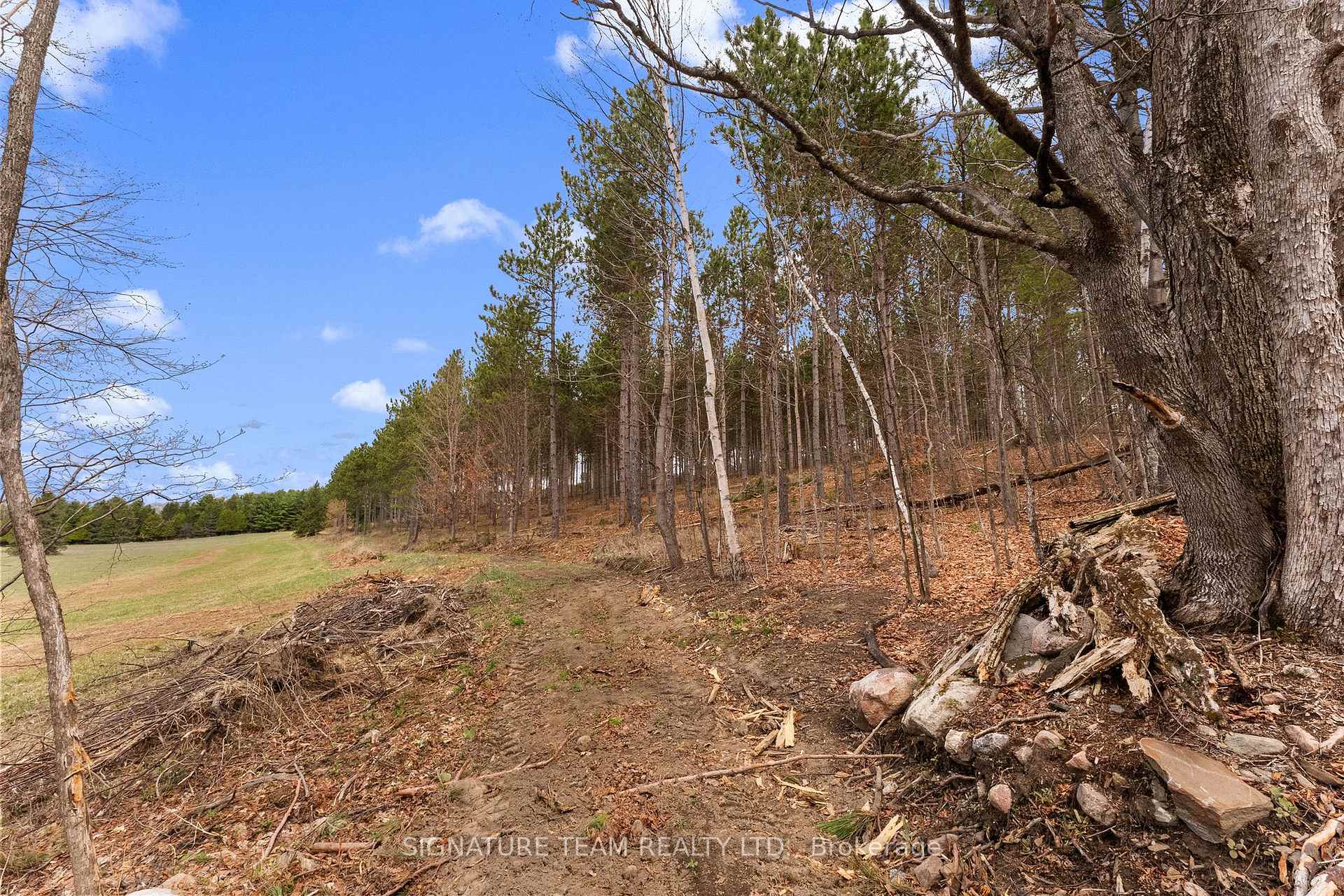 Photo 16 of 359 Dittburner Road, Whitewater Region, Whitewater Region — HOMEH