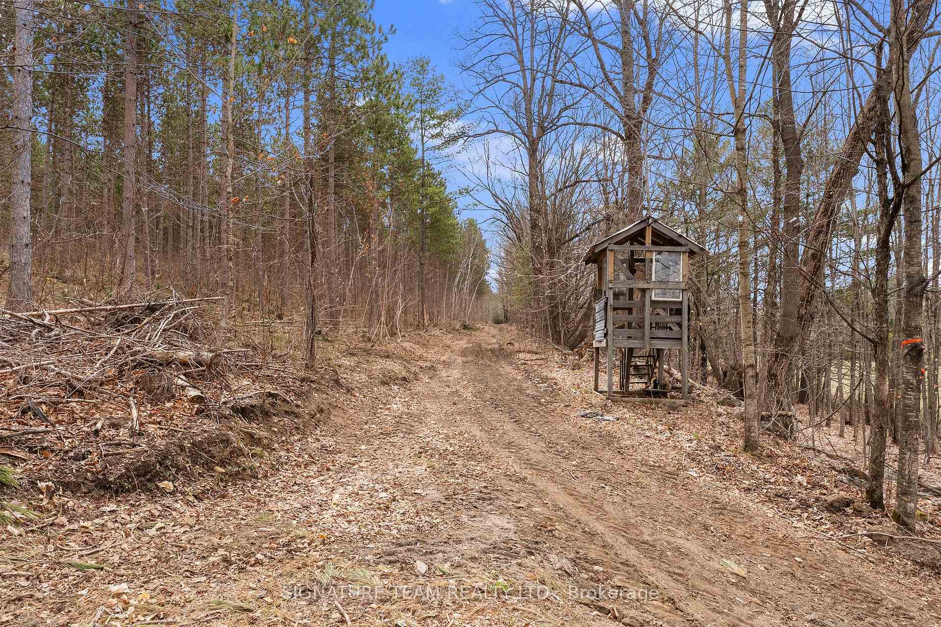 Photo 17 of 359 Dittburner Road, Whitewater Region, Whitewater Region — HOMEH