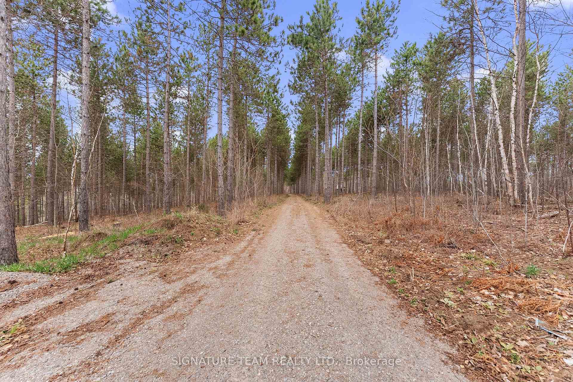 Photo 21 of 359 Dittburner Road, Whitewater Region, Whitewater Region — HOMEH