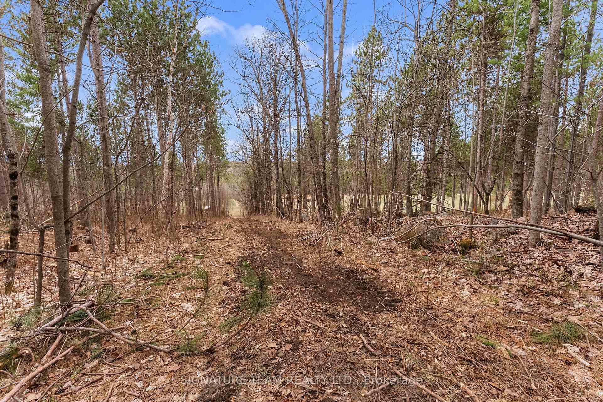 Photo 22 of 359 Dittburner Road, Whitewater Region, Whitewater Region — HOMEH