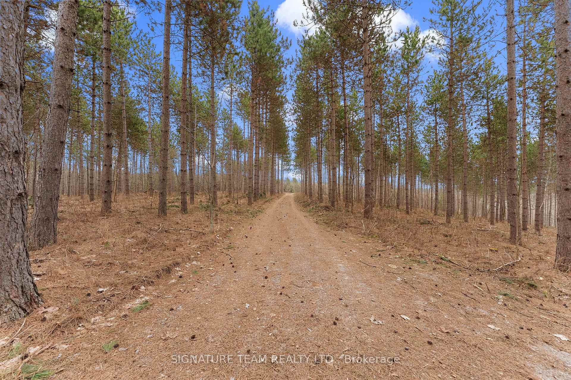 Photo 23 of 359 Dittburner Road, Whitewater Region, Whitewater Region — HOMEH