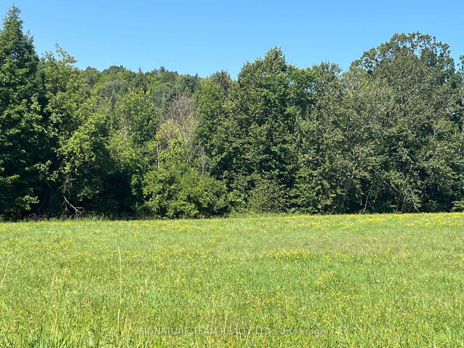 Photo 29 of 359 Dittburner Road, Whitewater Region, Whitewater Region — HOMEH