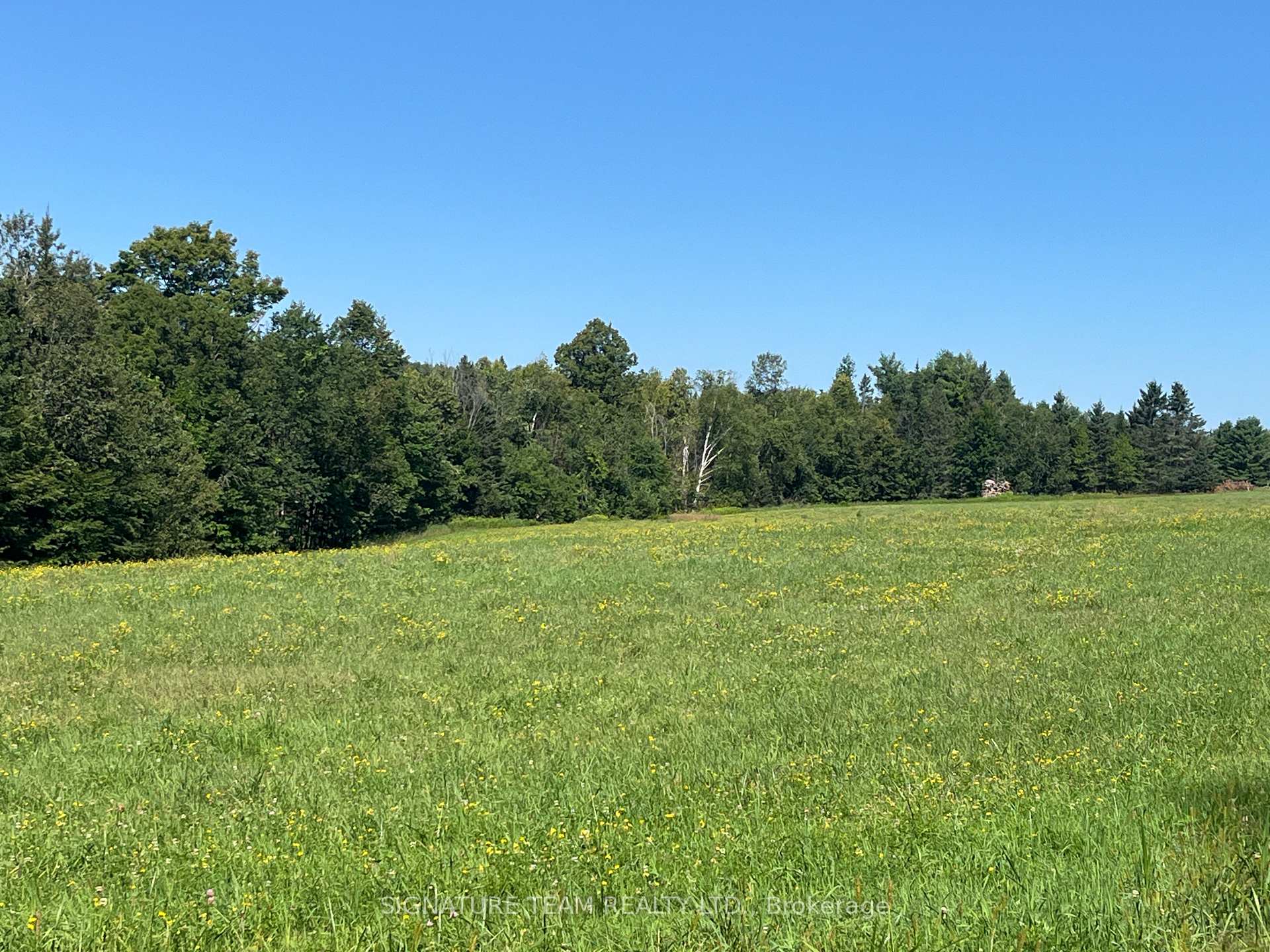 Photo 30 of 359 Dittburner Road, Whitewater Region, Whitewater Region — HOMEH