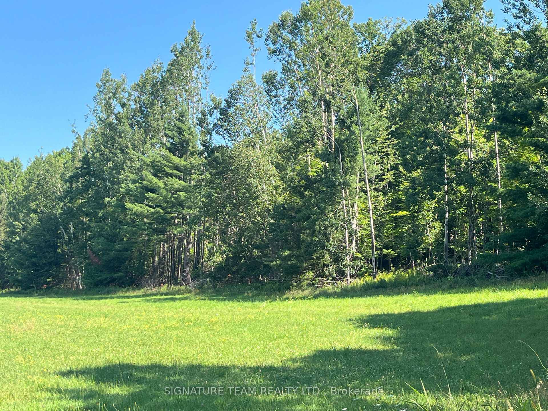 Photo 31 of 359 Dittburner Road, Whitewater Region, Whitewater Region — HOMEH