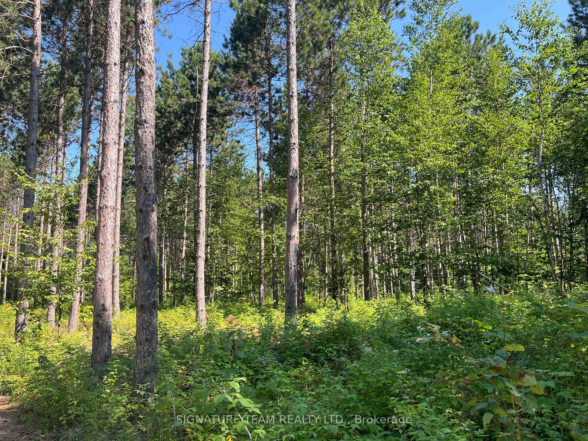 Photo 32 of 359 Dittburner Road, Whitewater Region, Whitewater Region — HOMEH