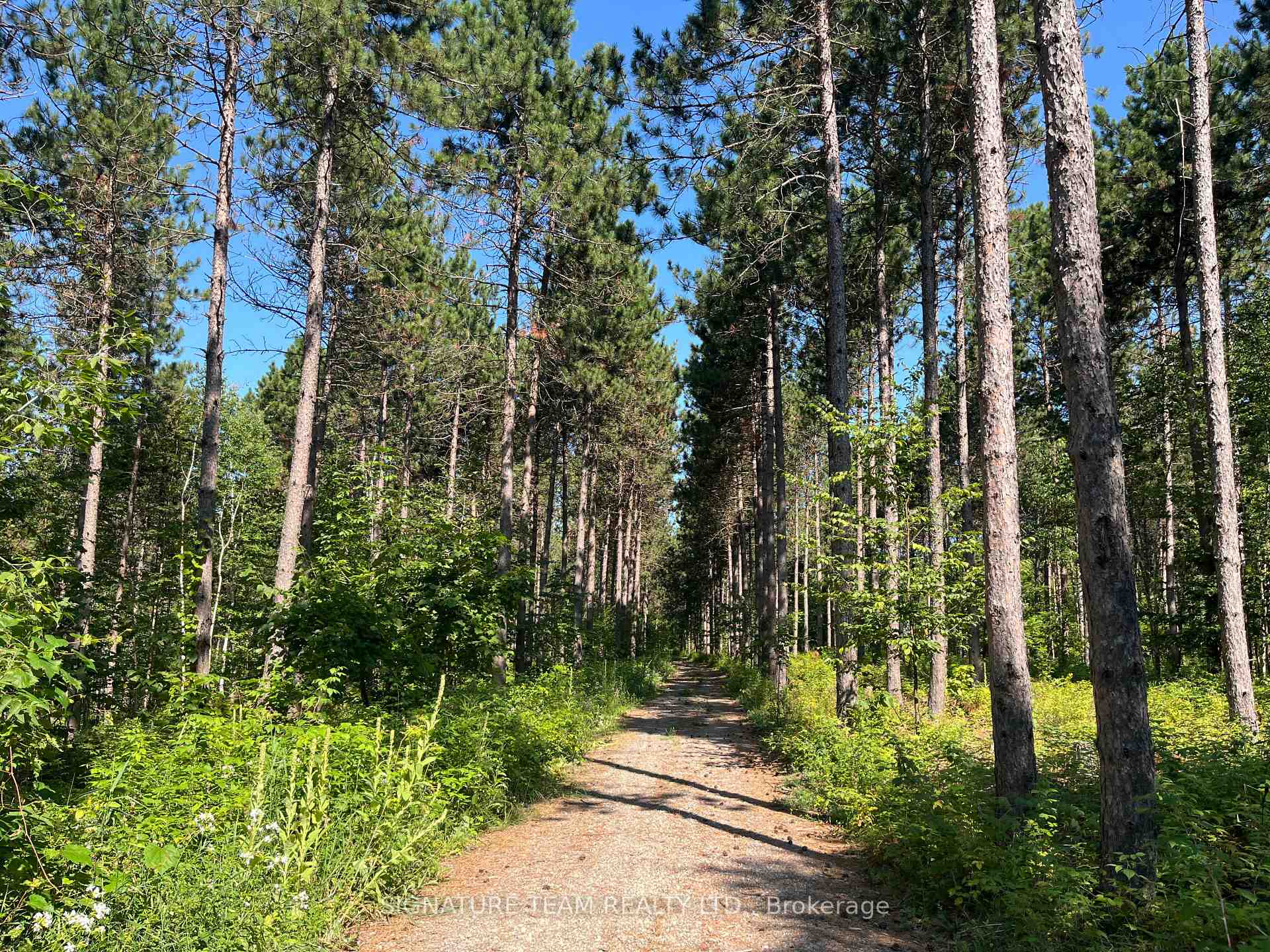 Photo 33 of 359 Dittburner Road, Whitewater Region, Whitewater Region — HOMEH