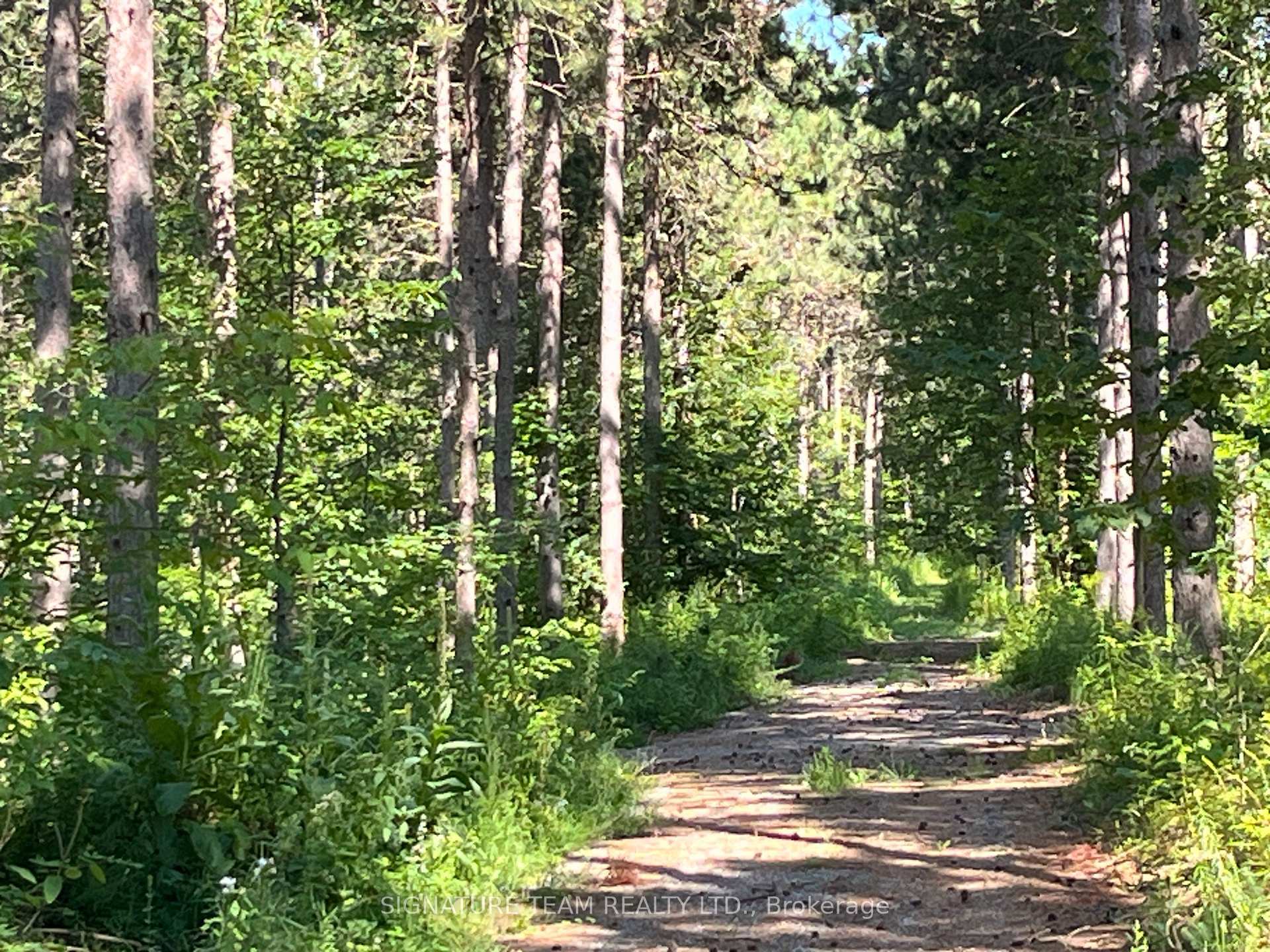Photo 34 of 359 Dittburner Road, Whitewater Region, Whitewater Region — HOMEH
