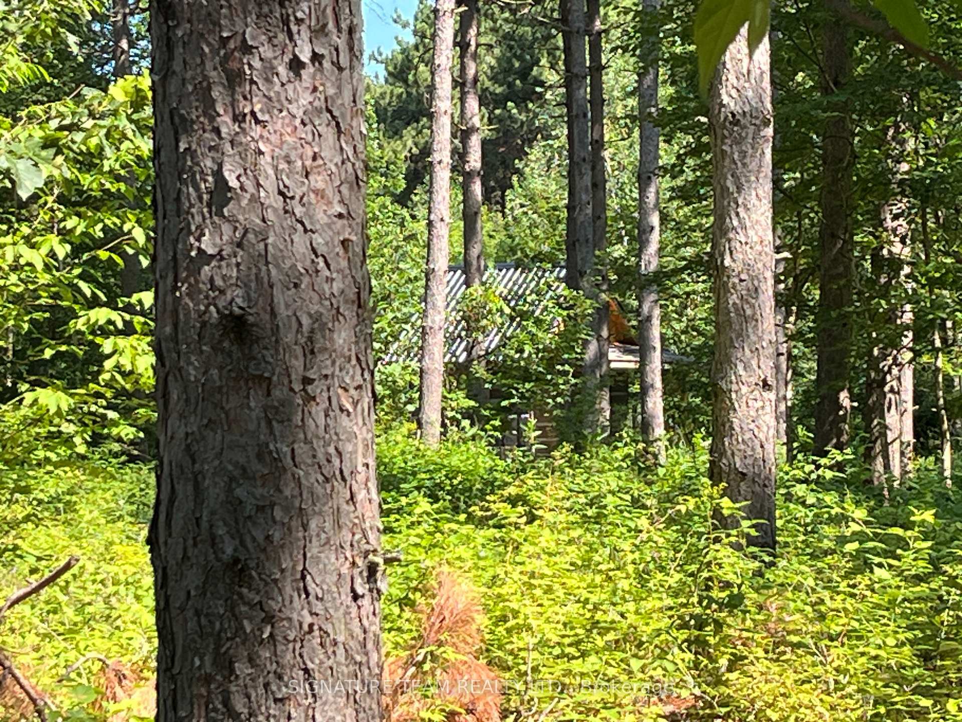 Photo 35 of 359 Dittburner Road, Whitewater Region, Whitewater Region — HOMEH