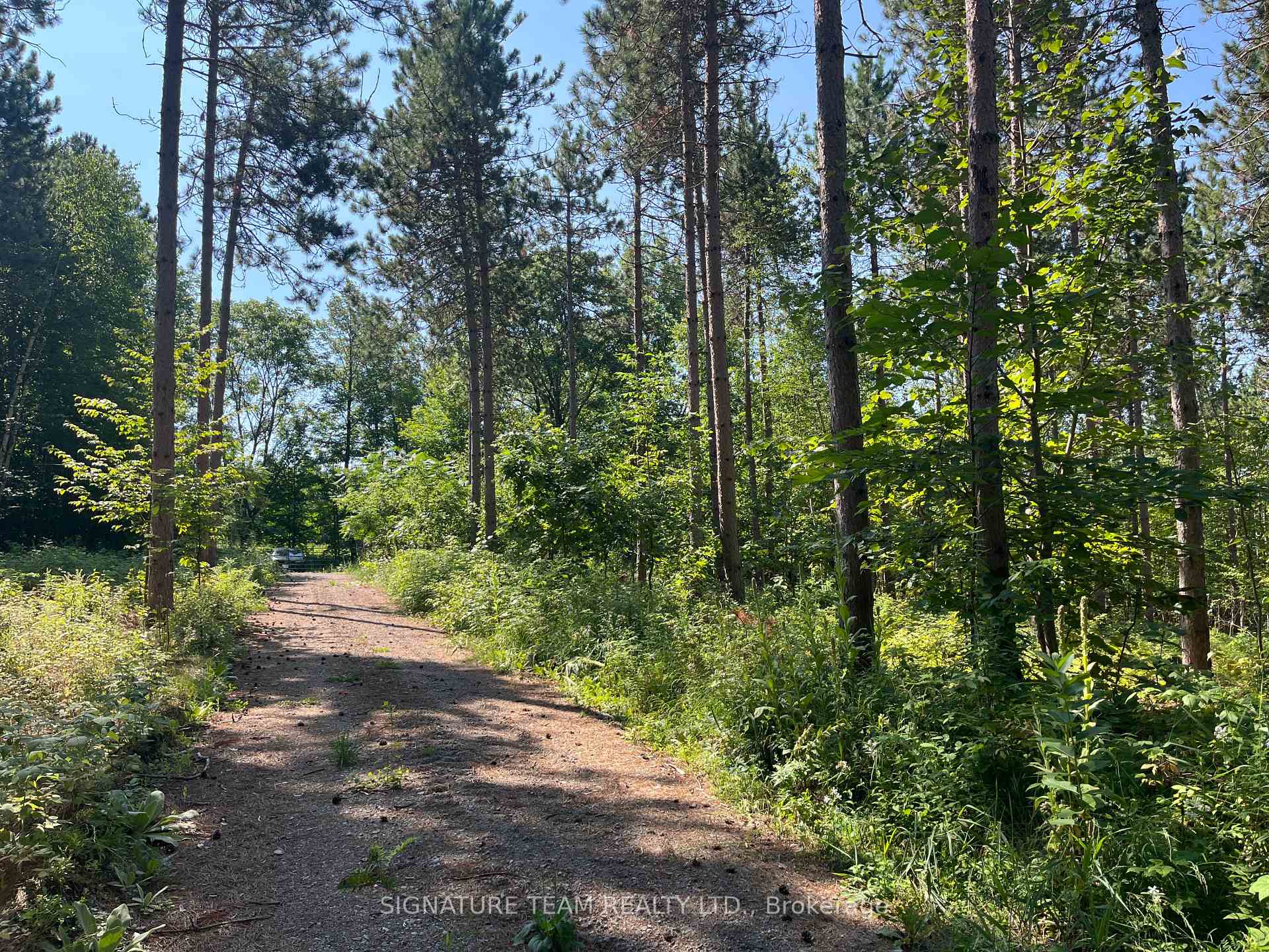 Photo 36 of 359 Dittburner Road, Whitewater Region, Whitewater Region — HOMEH