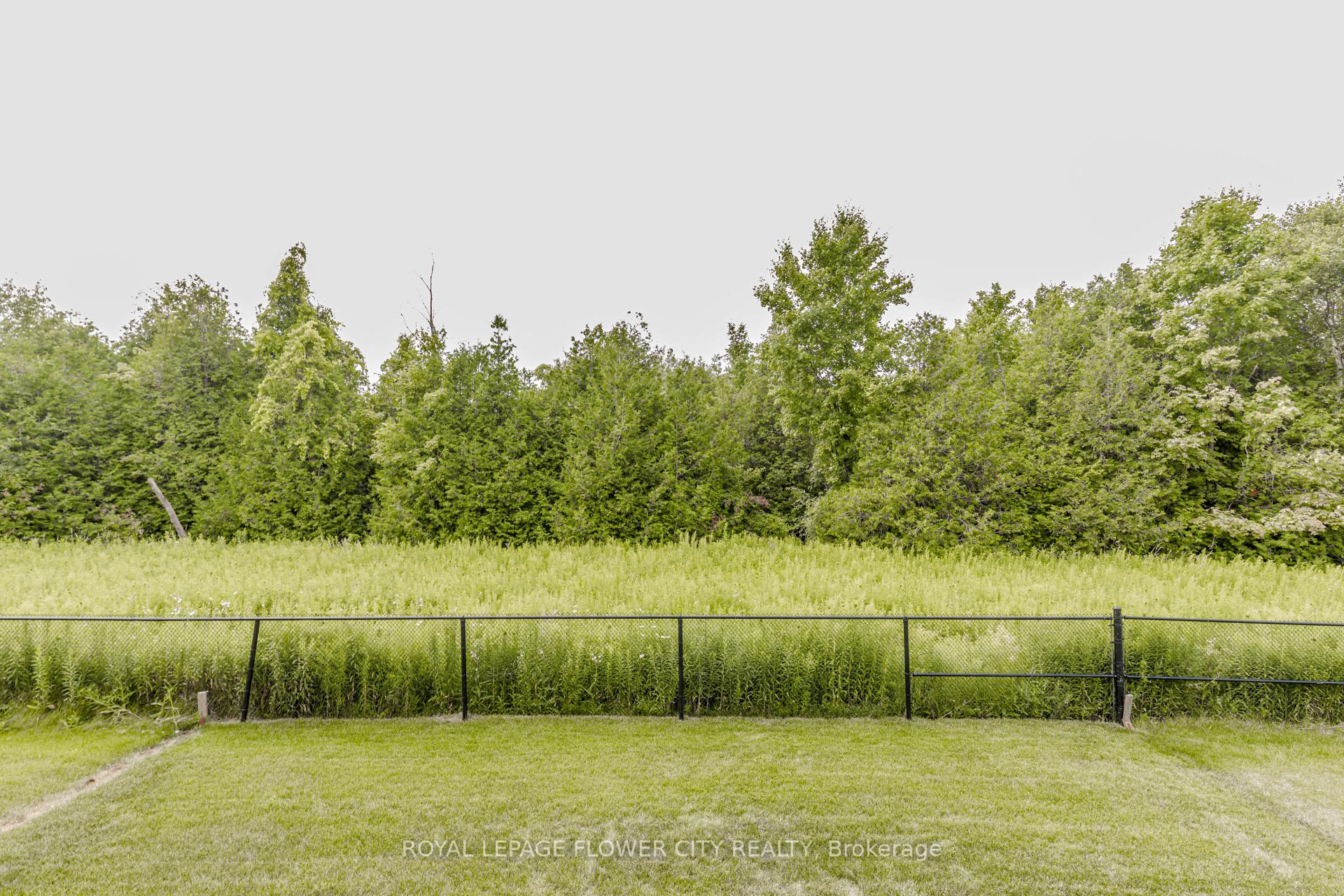 Photo 27 of 226 Chippewa Avenue, Shelburne — HOMEH