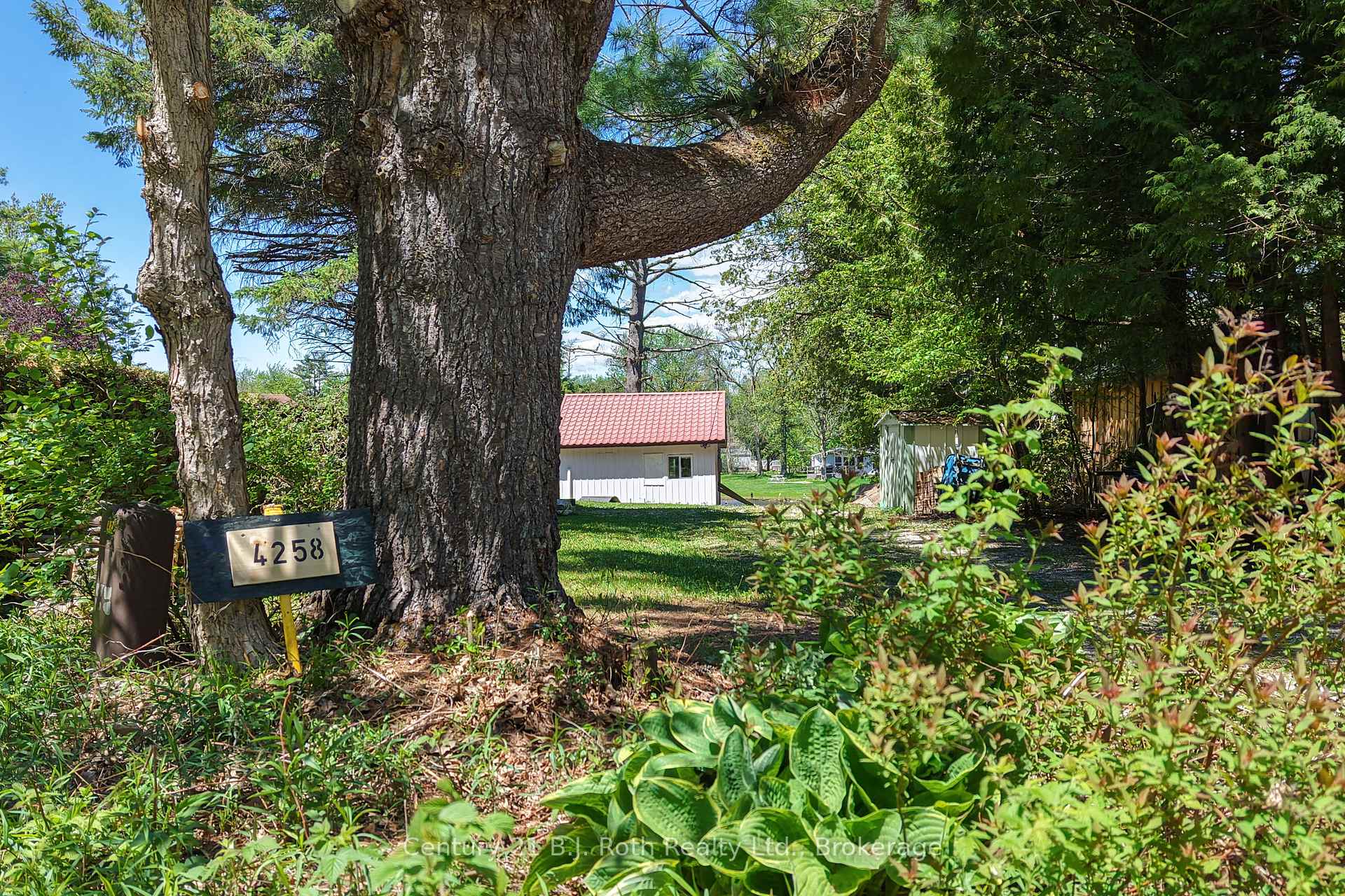 Photo 3 of 4258 Canal Road, Severn, Rural Severn — HOMEH