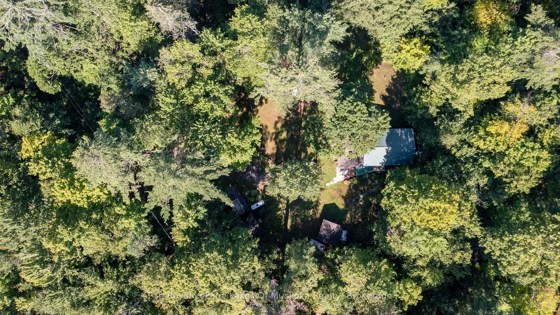 Photo 17 of 1009 Andersen Road, Bracebridge, Draper — HOMEH