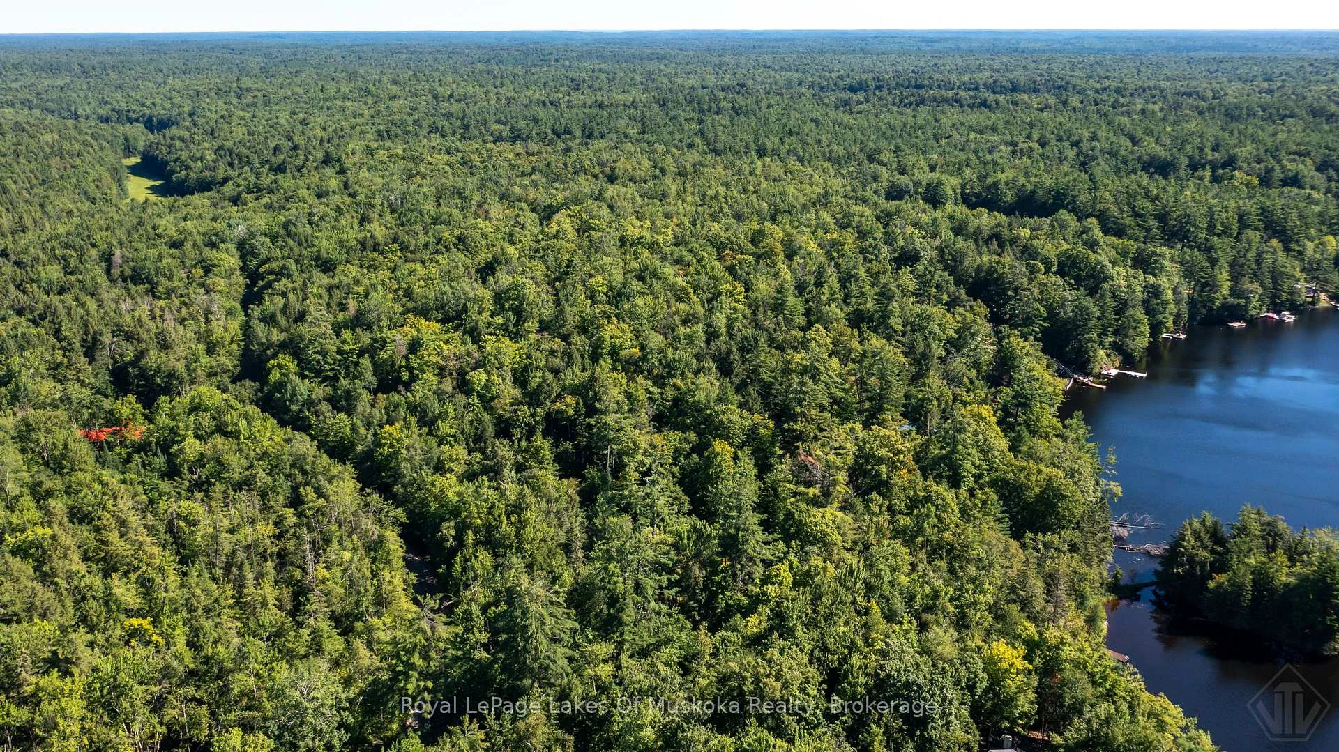 Photo 20 of 1009 Andersen Road, Bracebridge, Draper — HOMEH
