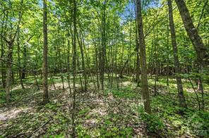 Photo 3 of 6 Rock Forest Road, Ottawa, Dunrobin Shores — HOMEH