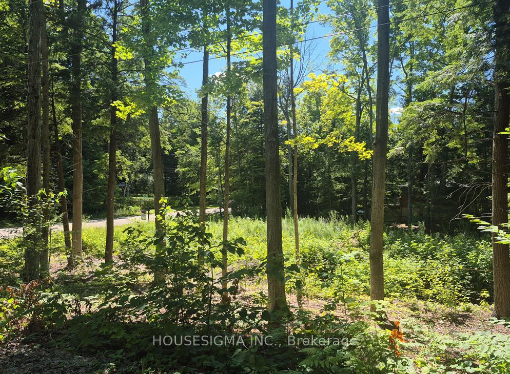 Photo 18 of 68 Beauremi Road, Tiny, Rural Tiny — HOMEH