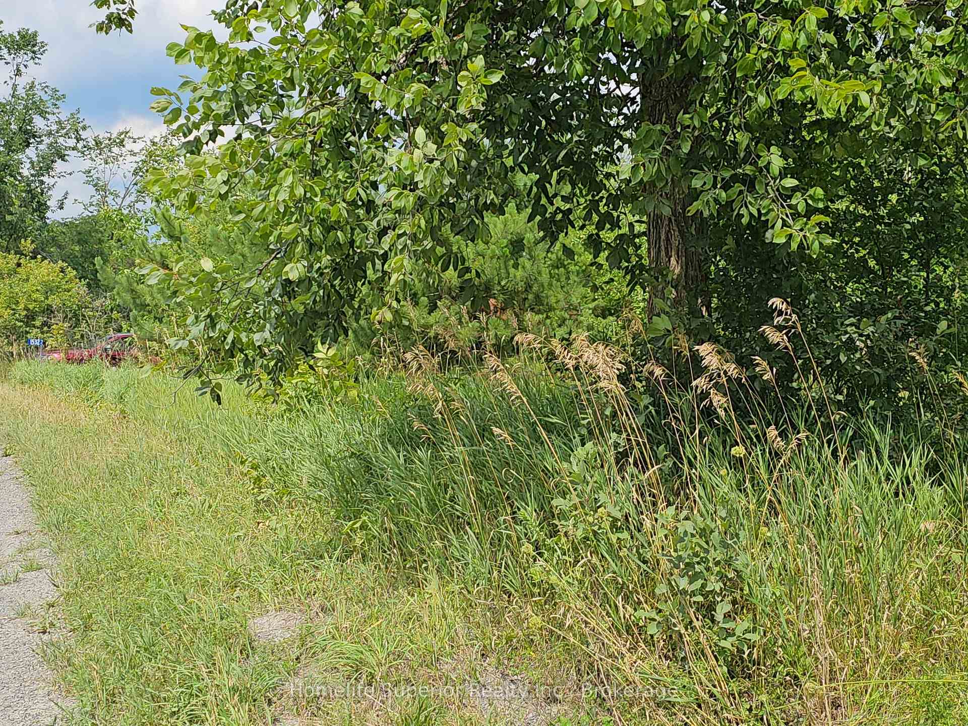 Photo 3 of 1532 O'Hara Road, Madoc — HOMEH