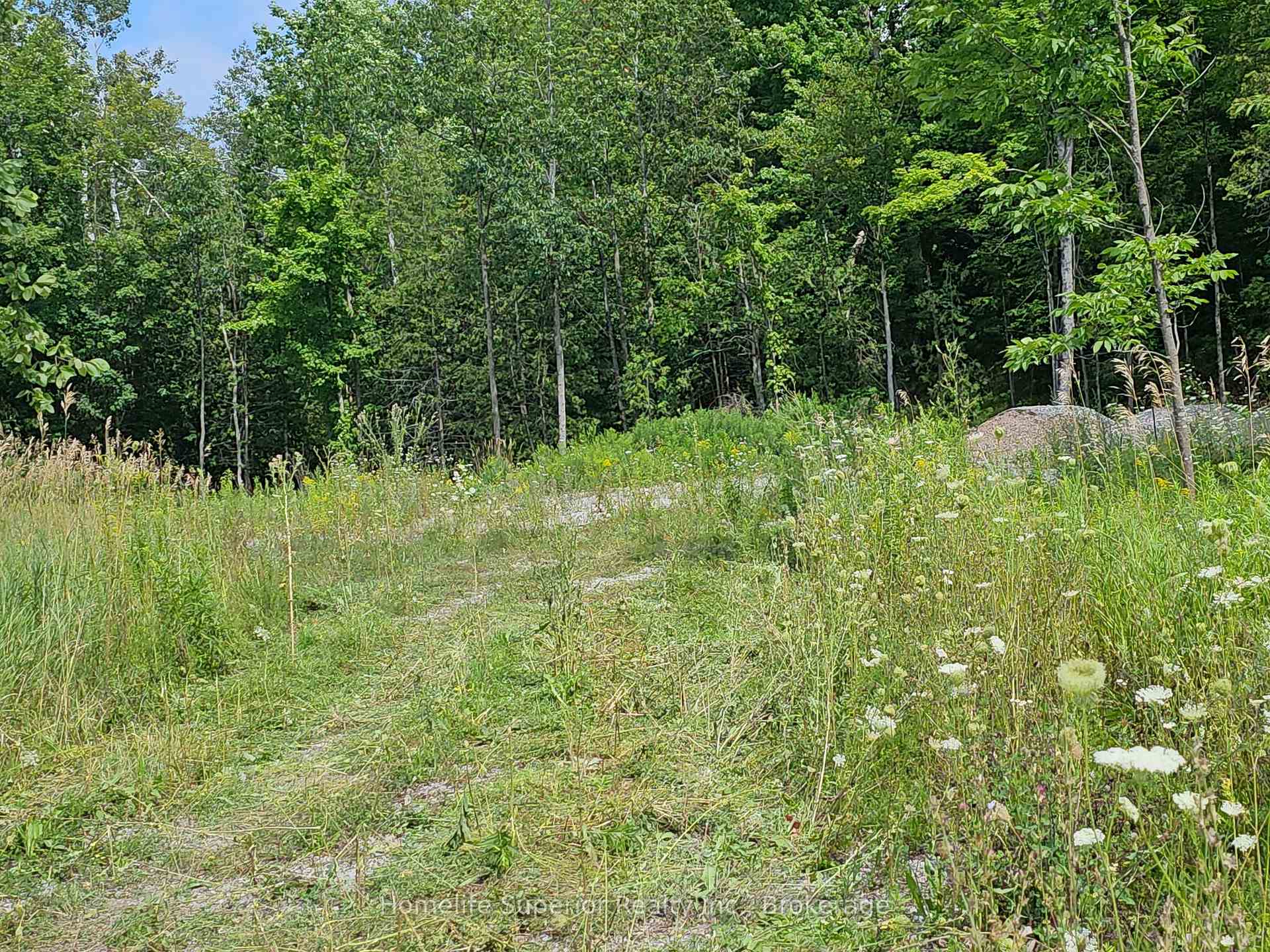 Photo 4 of 1532 O'Hara Road, Madoc — HOMEH
