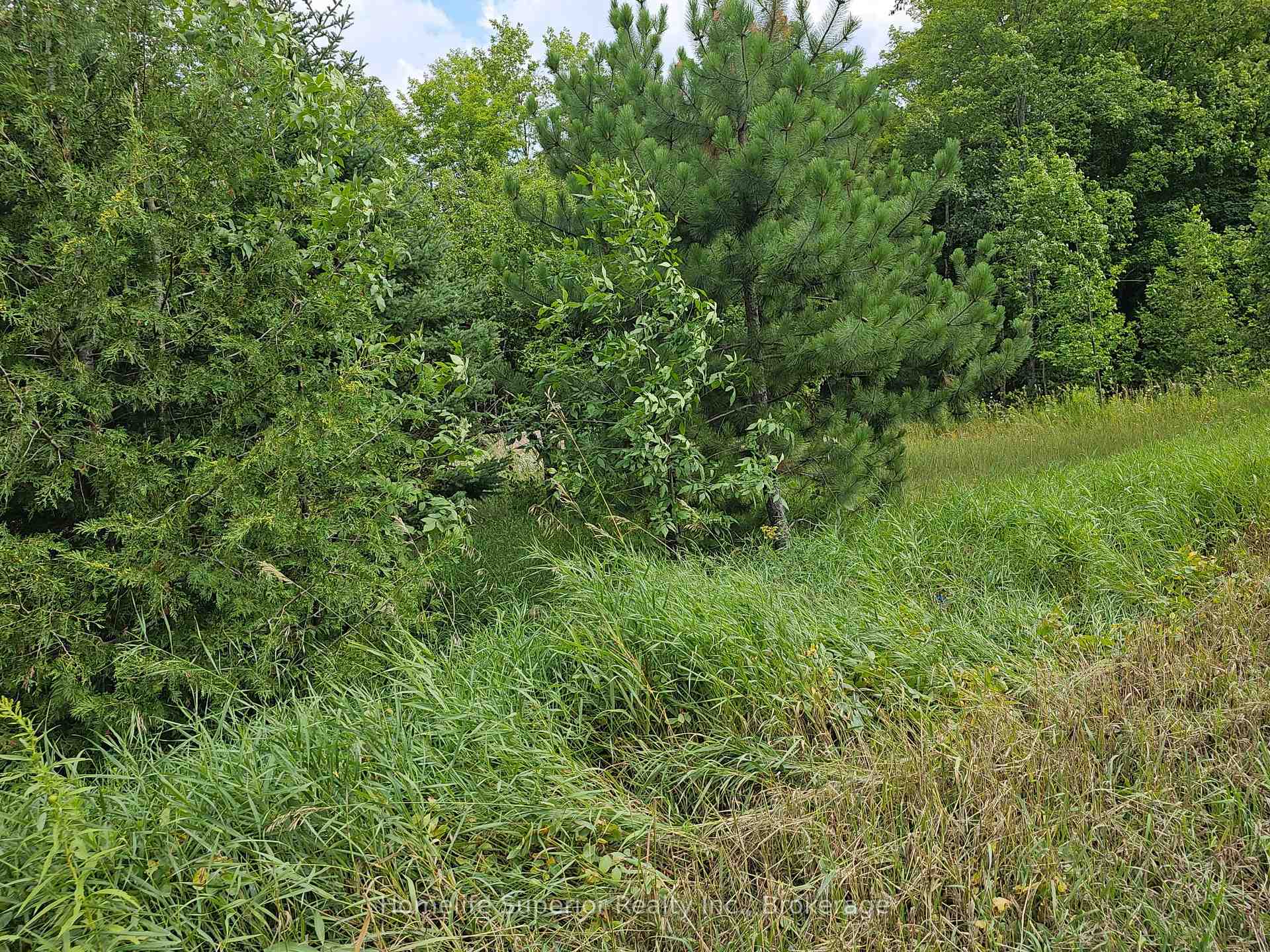 Photo 5 of 1532 O'Hara Road, Madoc — HOMEH