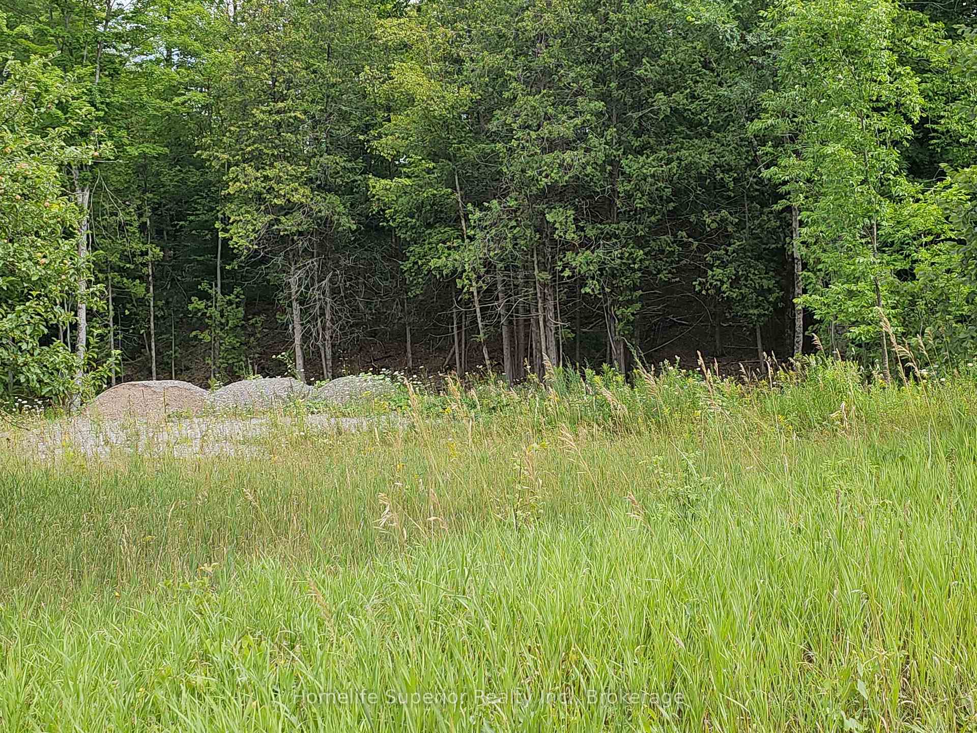 Photo 7 of 1532 O'Hara Road, Madoc — HOMEH