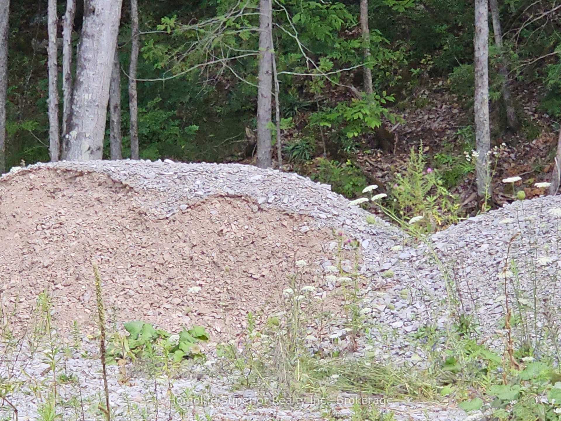Photo 8 of 1532 O'Hara Road, Madoc — HOMEH